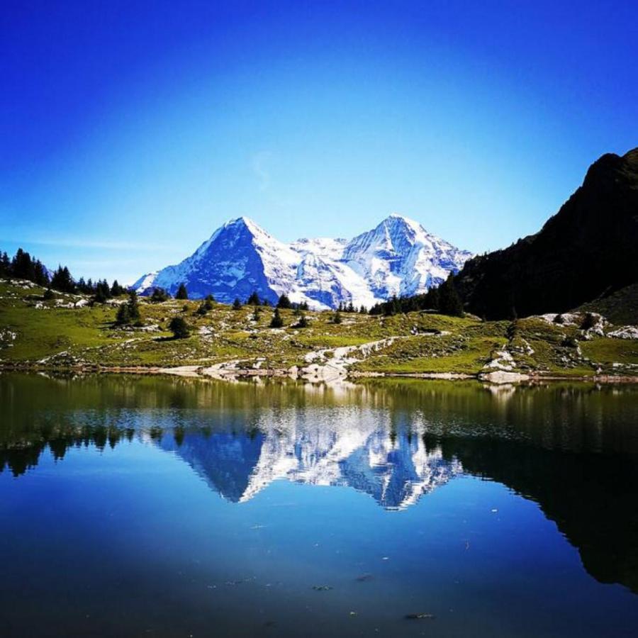 Swisshut Stunning Views Alps Lake - Chalet Erli Därligen Dış mekan fotoğraf