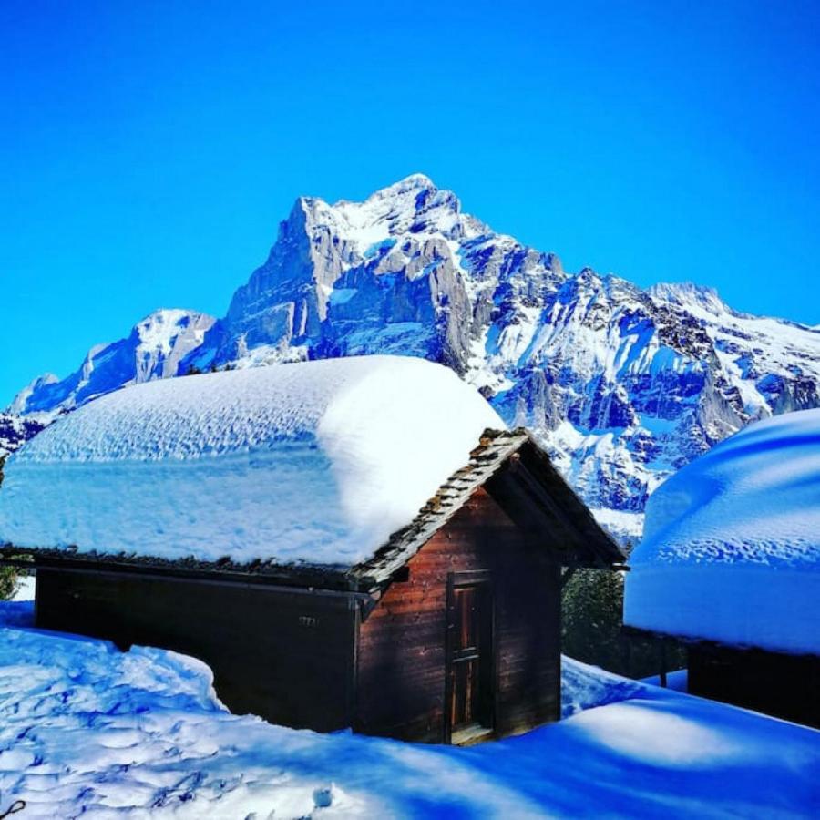 Swisshut Stunning Views Alps Lake - Chalet Erli Därligen Dış mekan fotoğraf