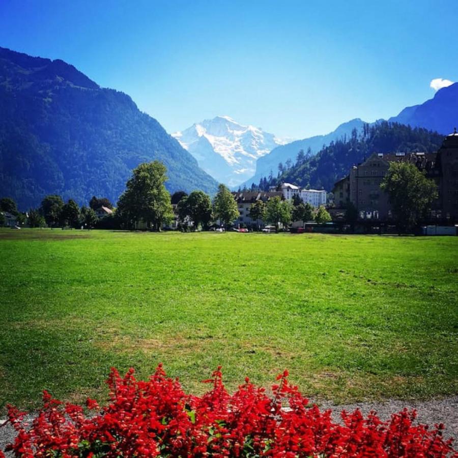 Swisshut Stunning Views Alps Lake - Chalet Erli Därligen Dış mekan fotoğraf